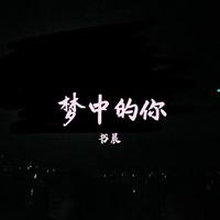 梦中的你D伴奏（正版）