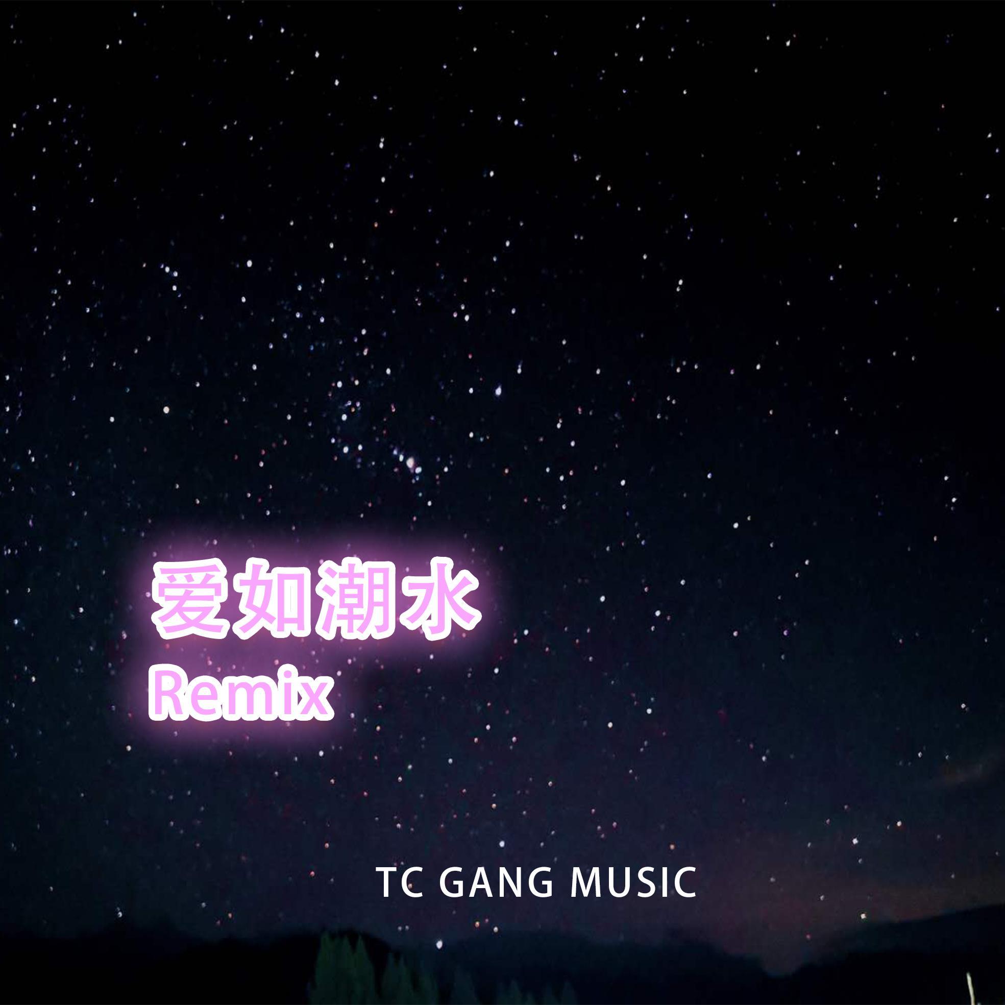 张信哲 / 张信哲-爱如潮水Remix（YYY.L / And1 remix）