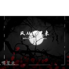 风从哪里来【野生动物保护公益主题曲】