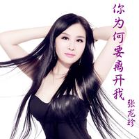 为何要离开我-明月微风(微电音)缺女声伴奏