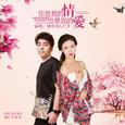 你是我的情也是我的爱