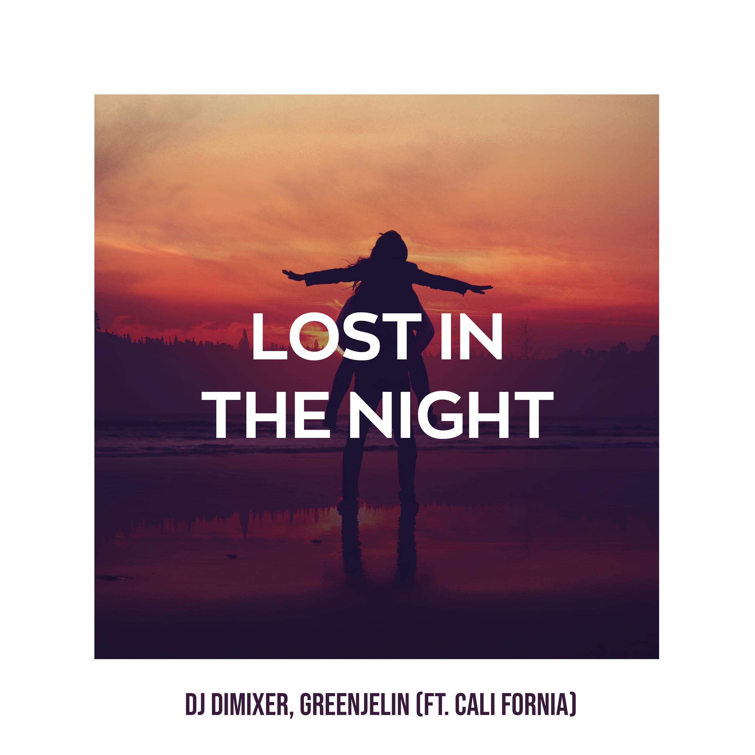 Lost in the Night (feat. Cali Fornia) [RICH-MAX Remix]