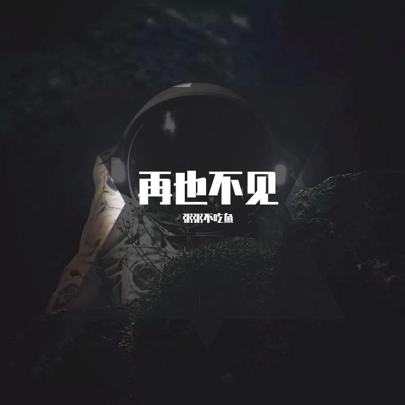 再也不见Not again（Prod.By崔巨帅）