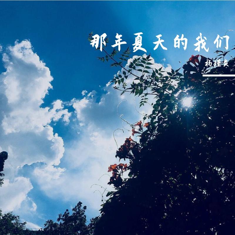 那年夏天的我们