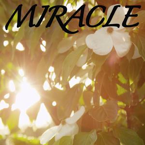 Miracle （原版立体声带和声） （升8半音）