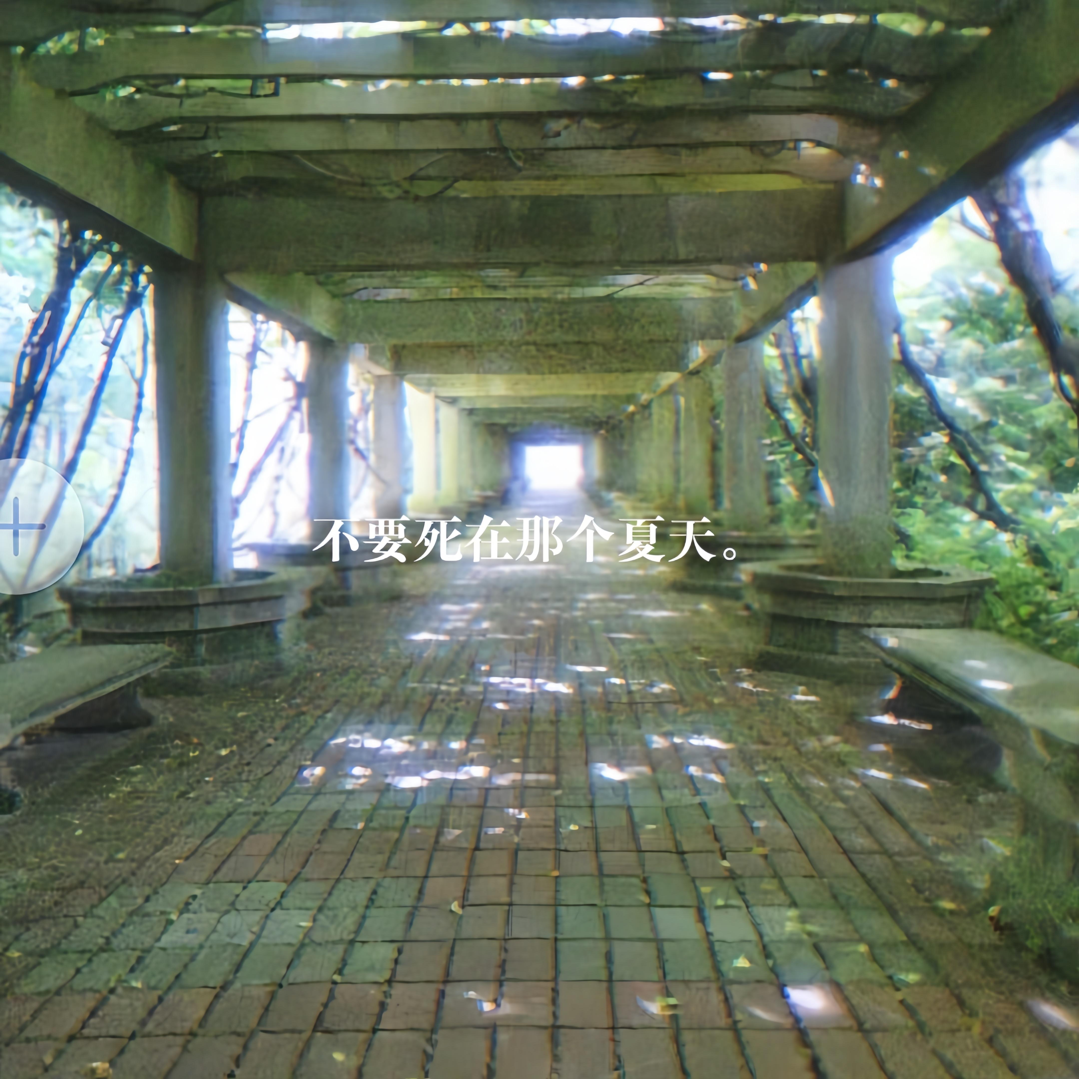 不要死在那个夏天