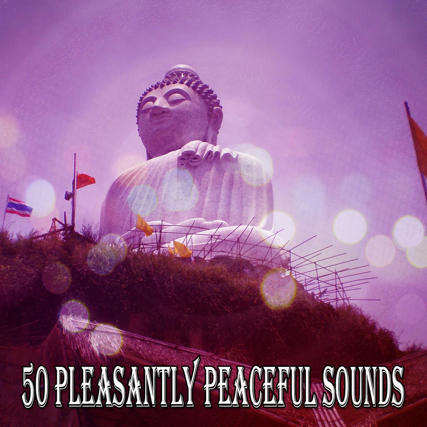 50 Pleasantly Peaceful Sounds专辑