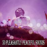 50 Pleasantly Peaceful Sounds专辑