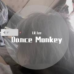 Dance Monkey