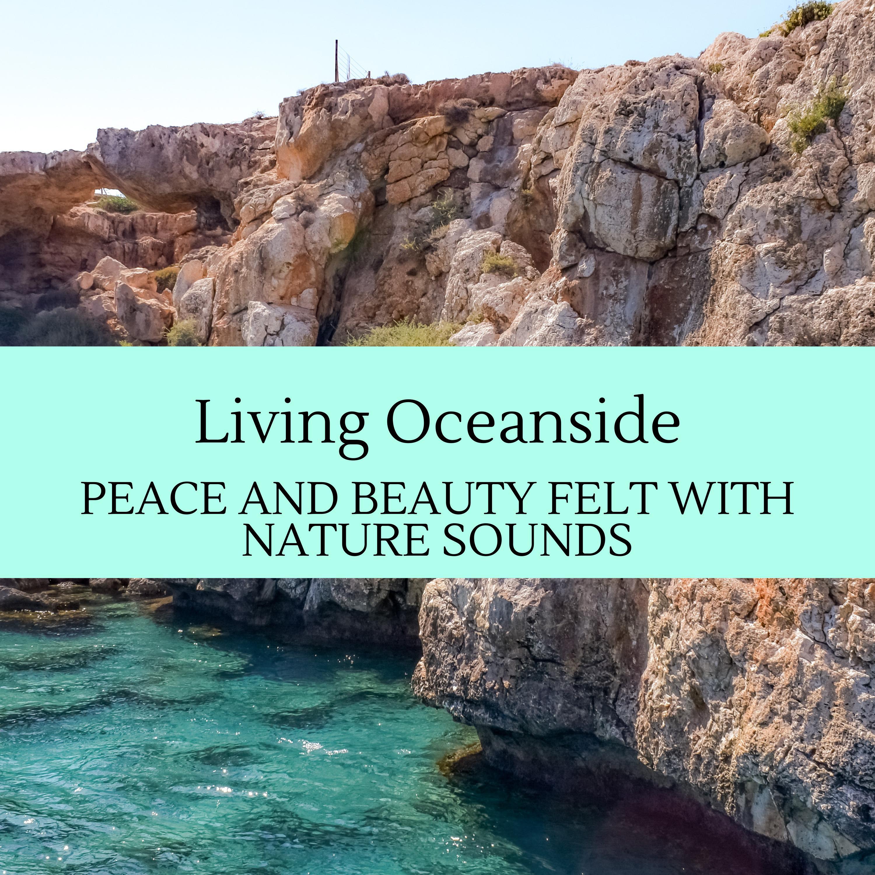 Organic Waves Sound Project - Oceanfront Bliss