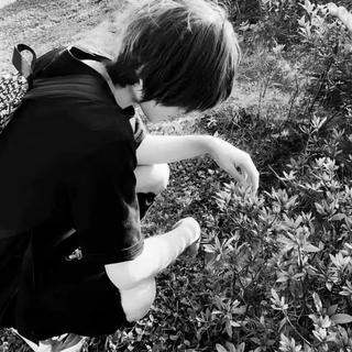 郑润泽 陈奕迅 颜人中 h3R3 呆呆破 江辰 等