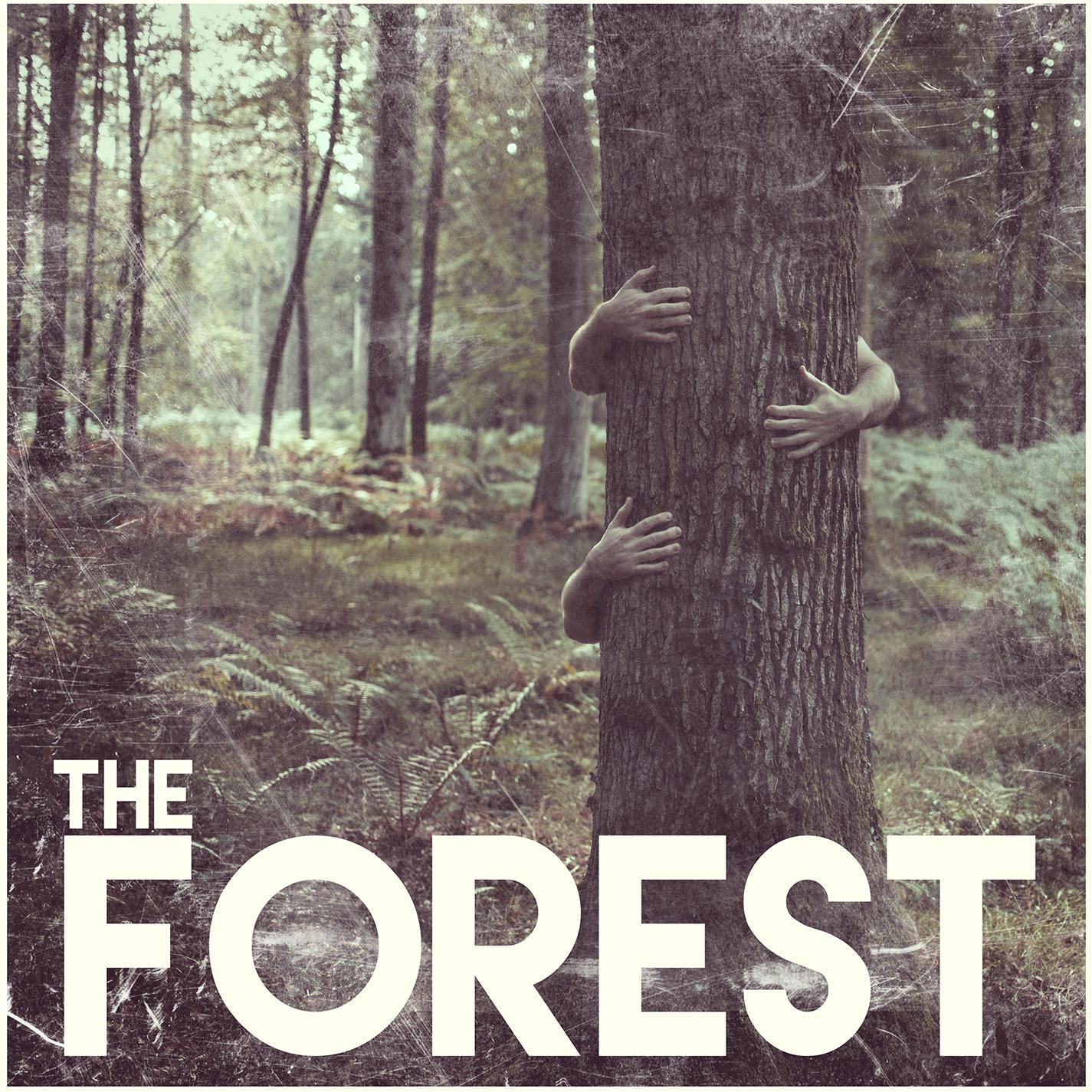 The Forest
