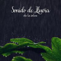 Sonidos de la selva