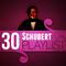 30 Schubert Playlist专辑