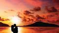 Secret Paradise (Cafe Chillout & Dream Lounge)专辑