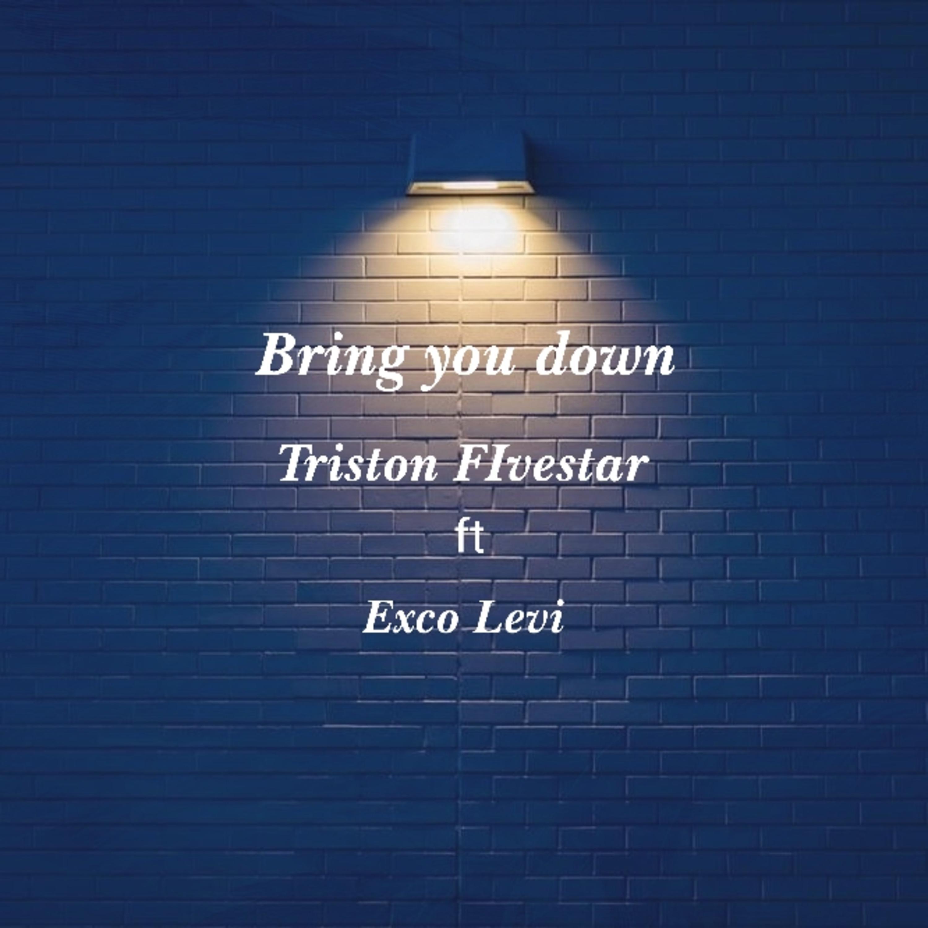 BRING YOU DOWN (feat. EXCO LEVI)