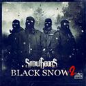 Black Snow 2专辑