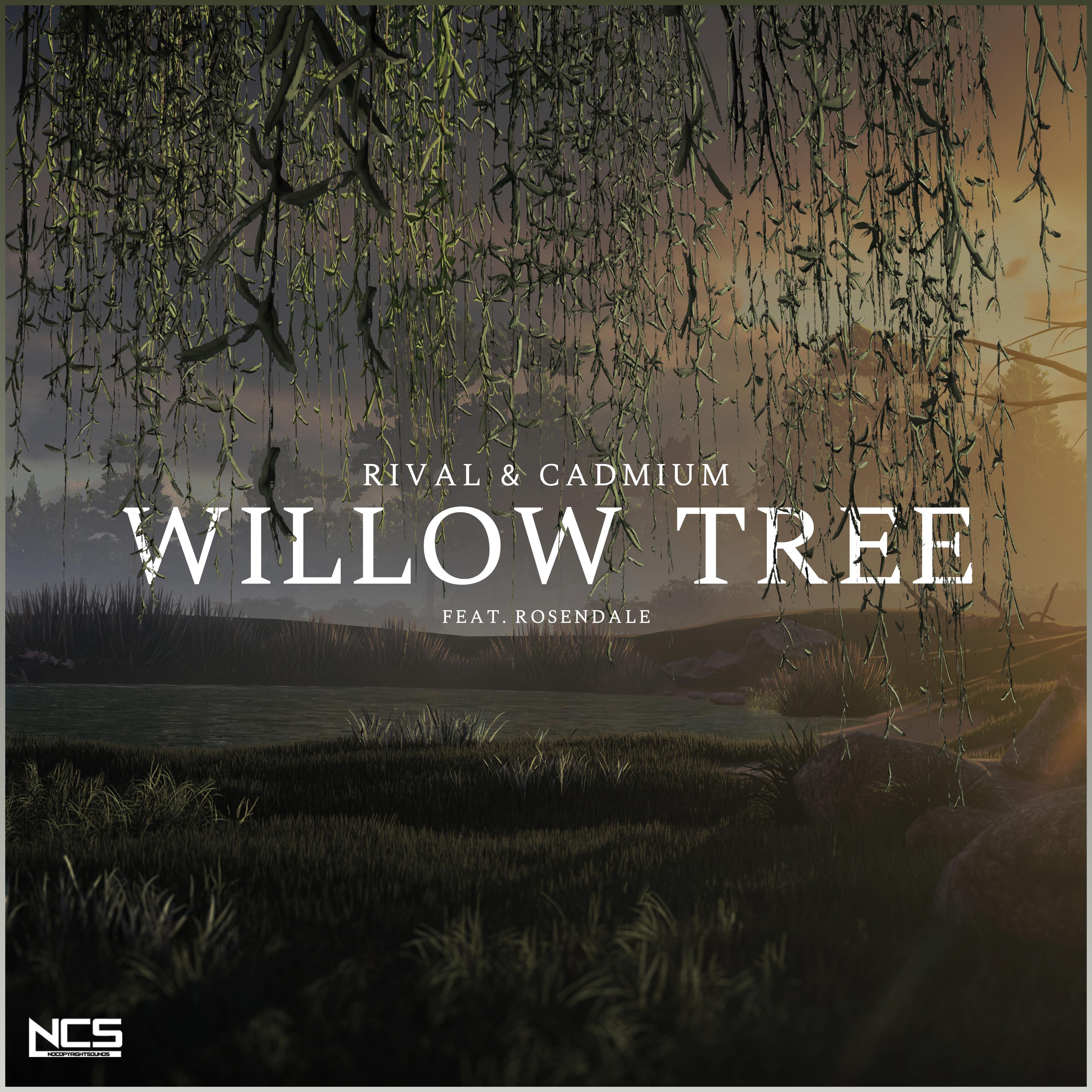 Willow Tree专辑