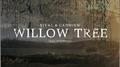 Willow Tree