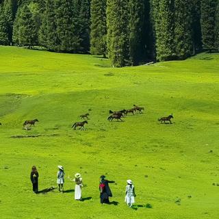 公路旅行｜「假期专属BGM」