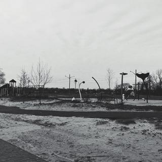 华北浪革