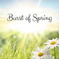 Burst of Spring