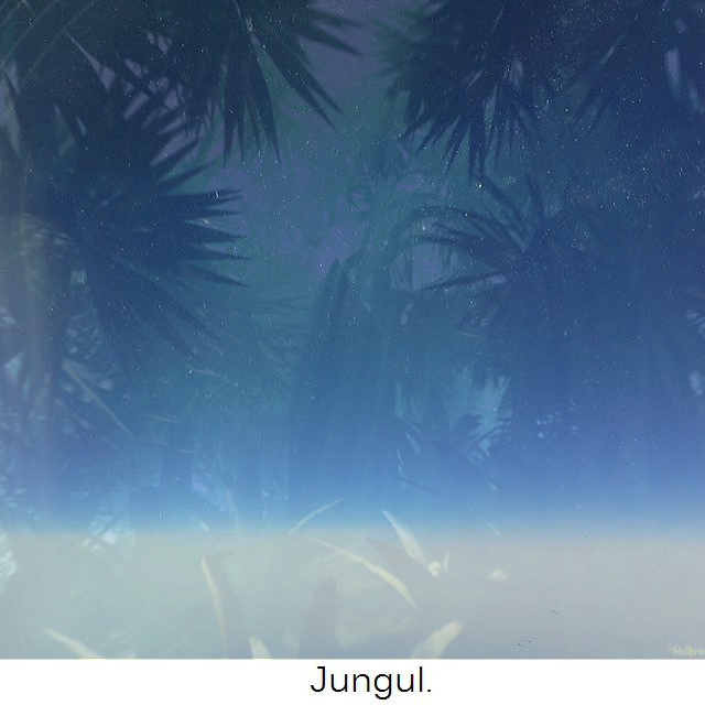 Jungul.