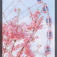 剩下的盛夏
