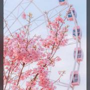 剩下的盛夏