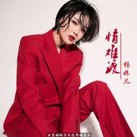 情难渡 杨妹儿(原版高品质立体声伴奏)