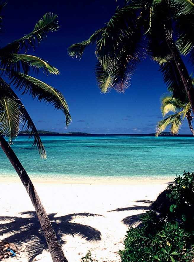 Seaside House