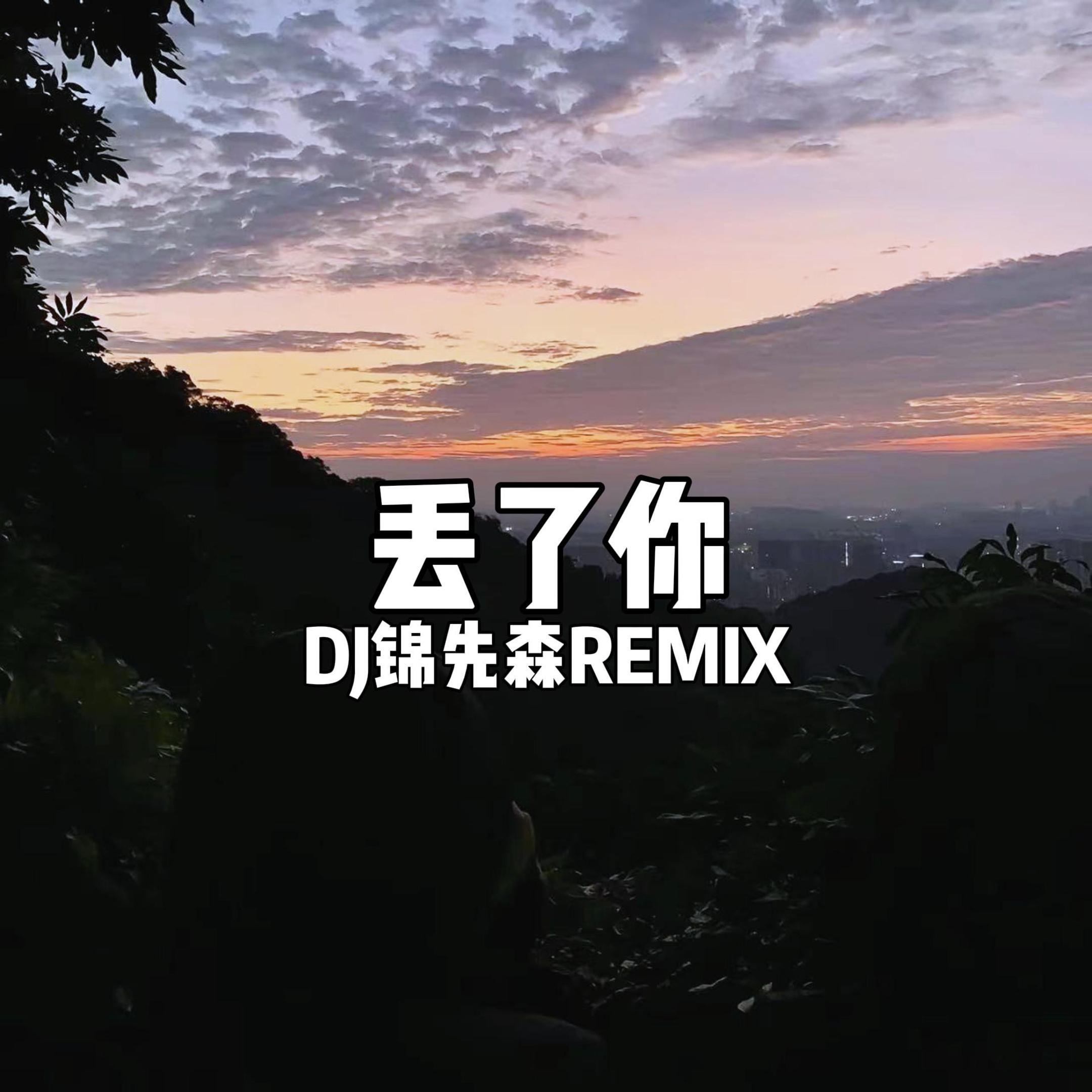 丢了你（DJ锦先森 Remix）