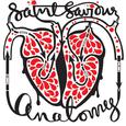 Anatomy