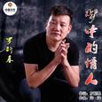 梦中的情人