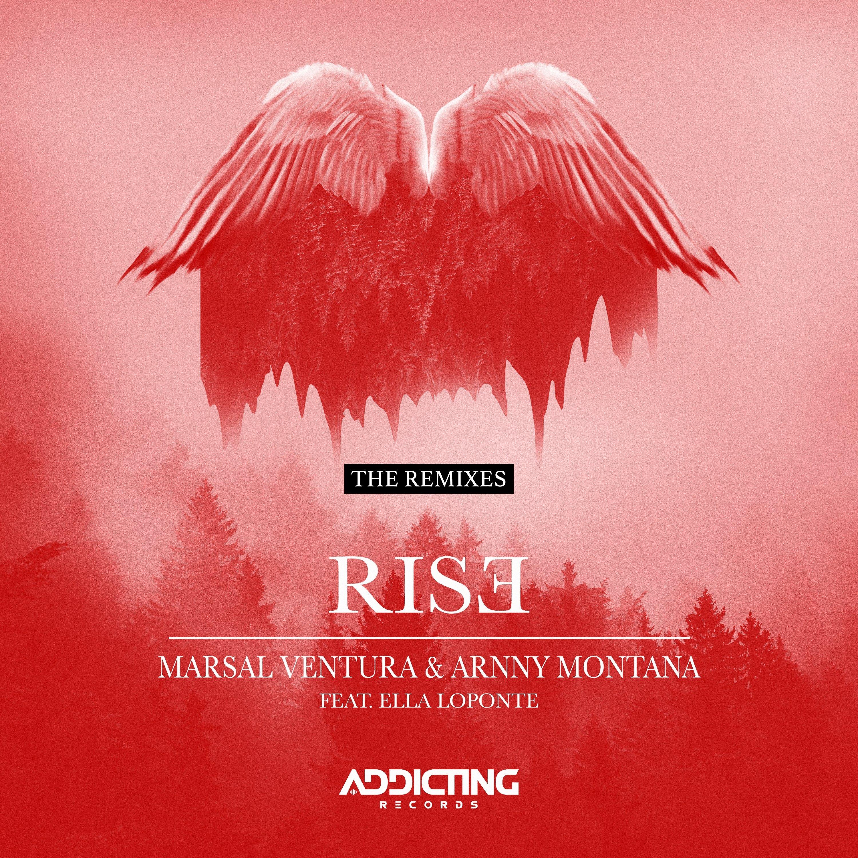 Rise The Remixes