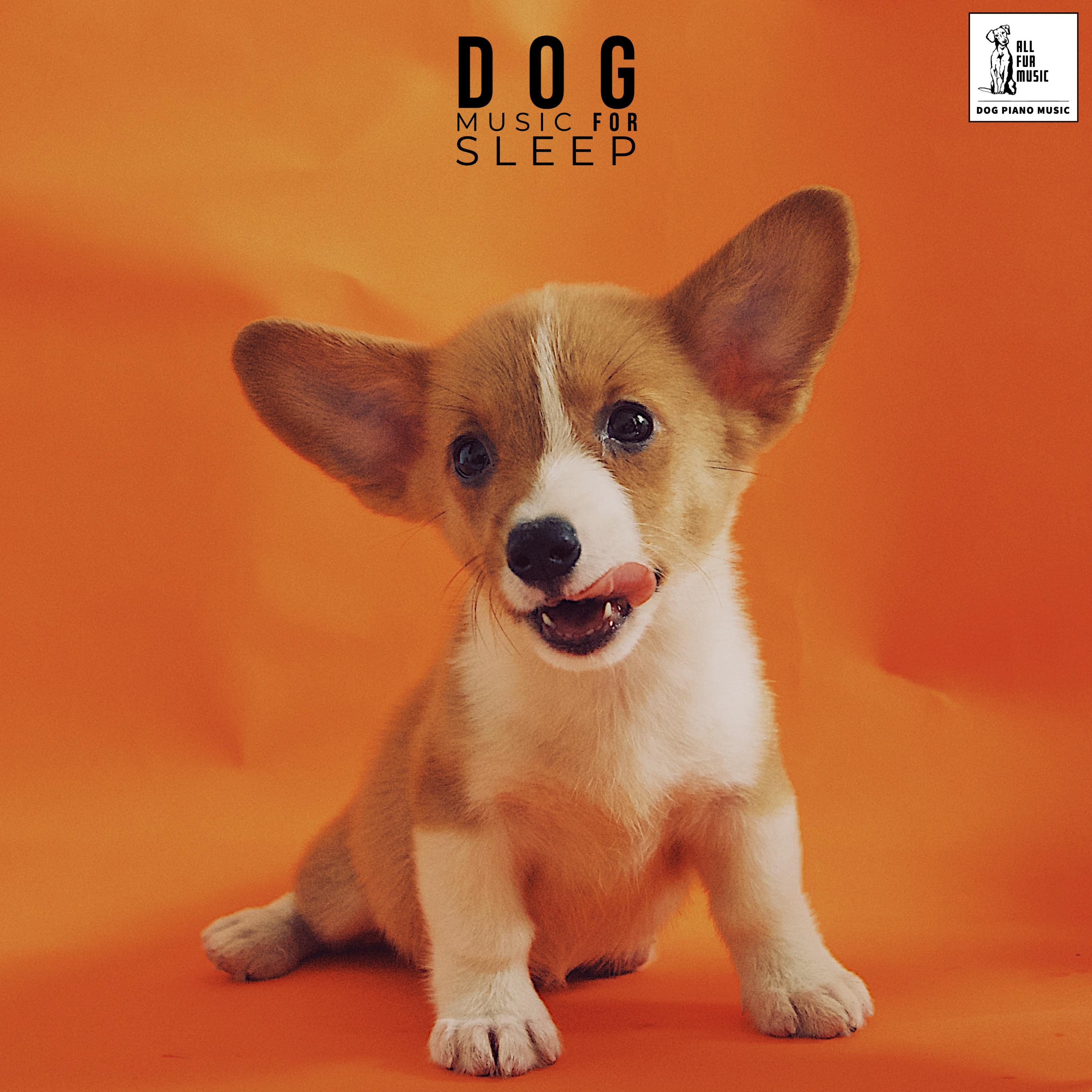 Dog Music For Sleep