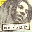 The Natural Mystic Of Bob Marley Volume 1专辑
