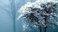 Trees Also Cry专辑