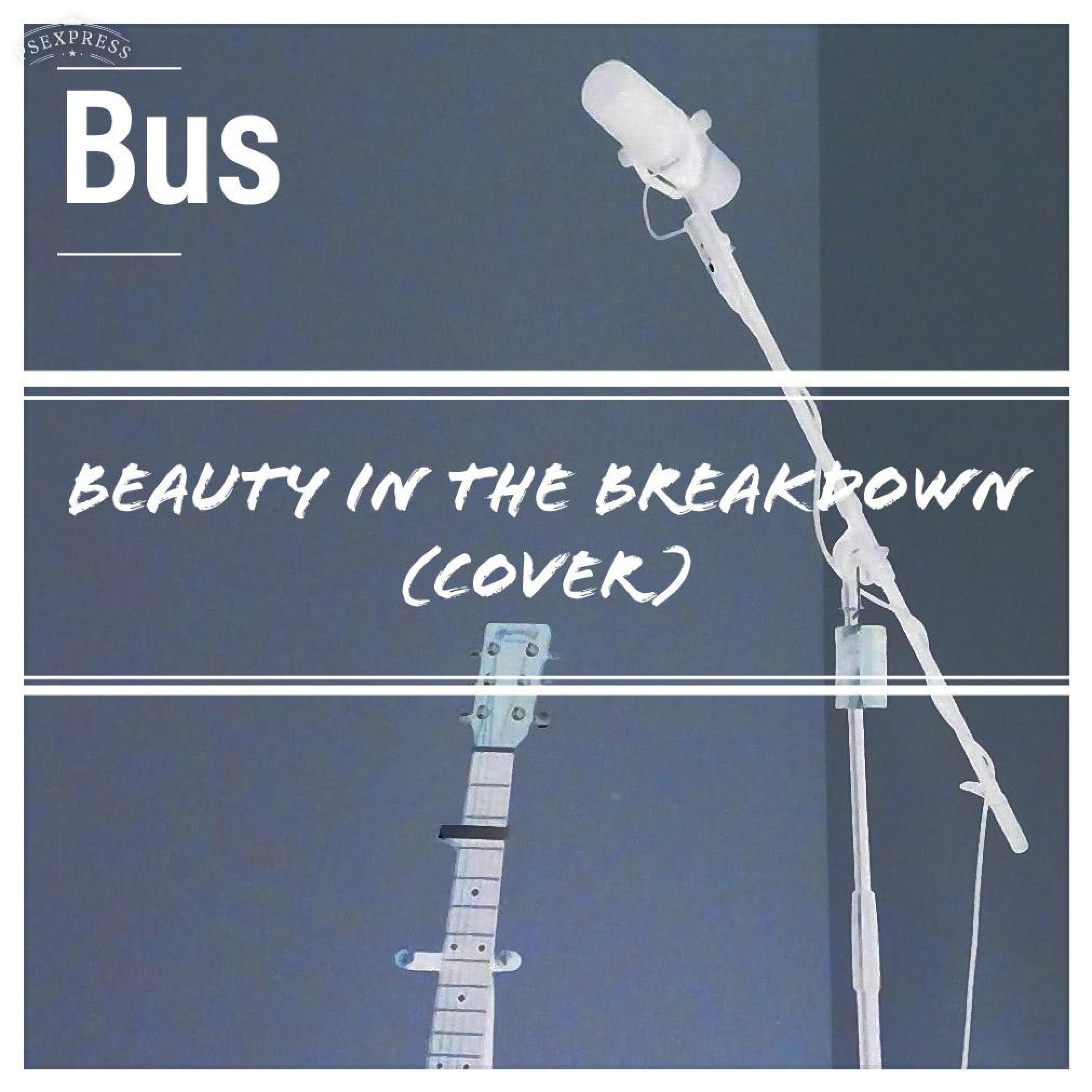 Beauty in the Breakdown