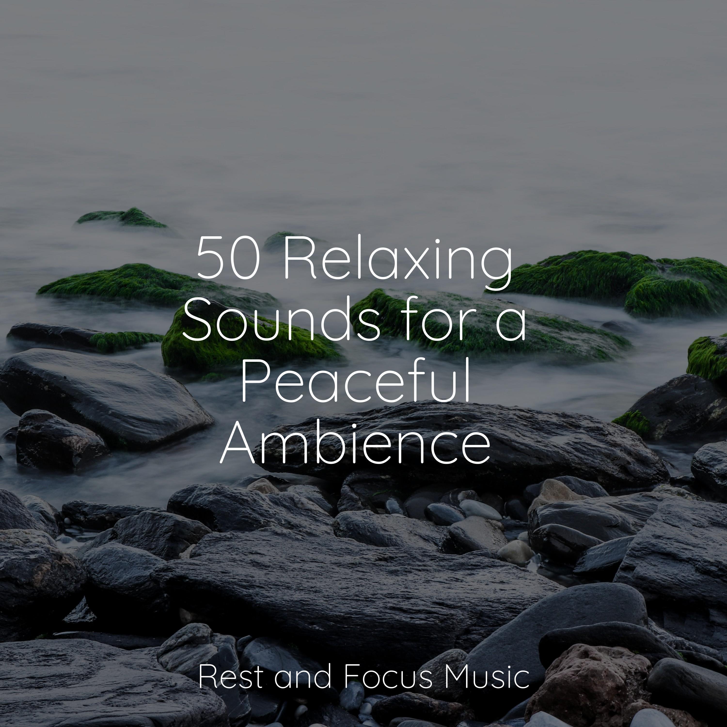 50 Relaxing Sounds for a Peaceful Ambience - Especialistas de Musica ...