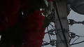 kissitbetter专辑