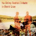 The String Quartet Tribute to David Gray