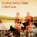The String Quartet Tribute to David Gray专辑