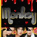Monkey专辑