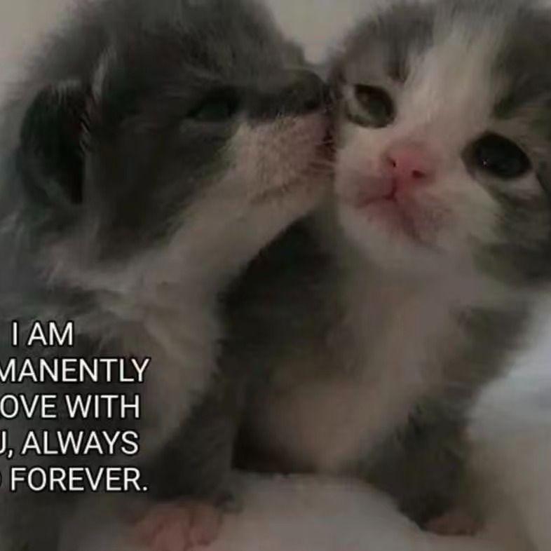 "思念" sad piano x 痛苦旋律伴奏