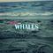 Swim With Whales (Demo)专辑