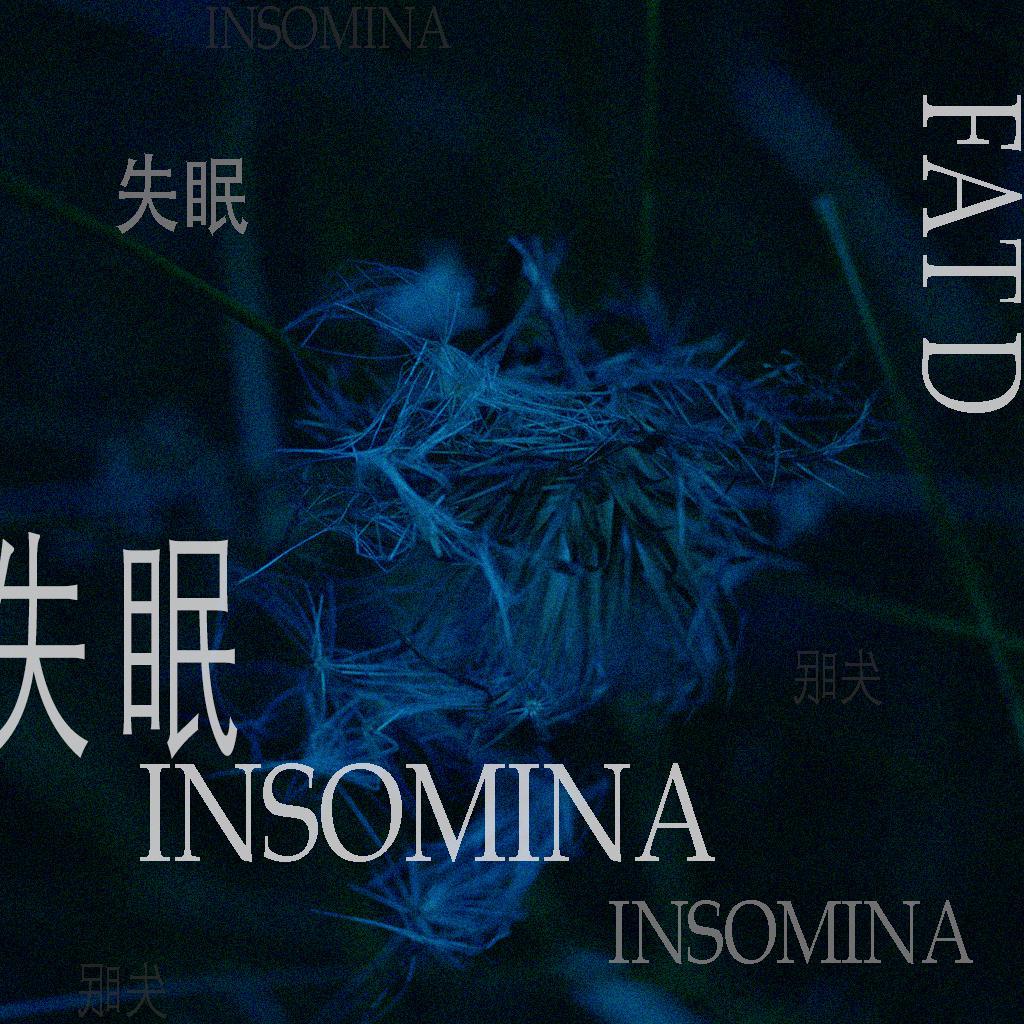 胖丁FatD - 失眠insomnia