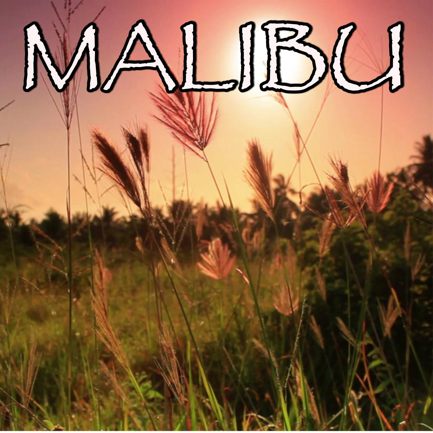 Malibu - Tribute to Miley Cyrus专辑