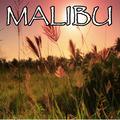 Malibu - Tribute to Miley Cyrus