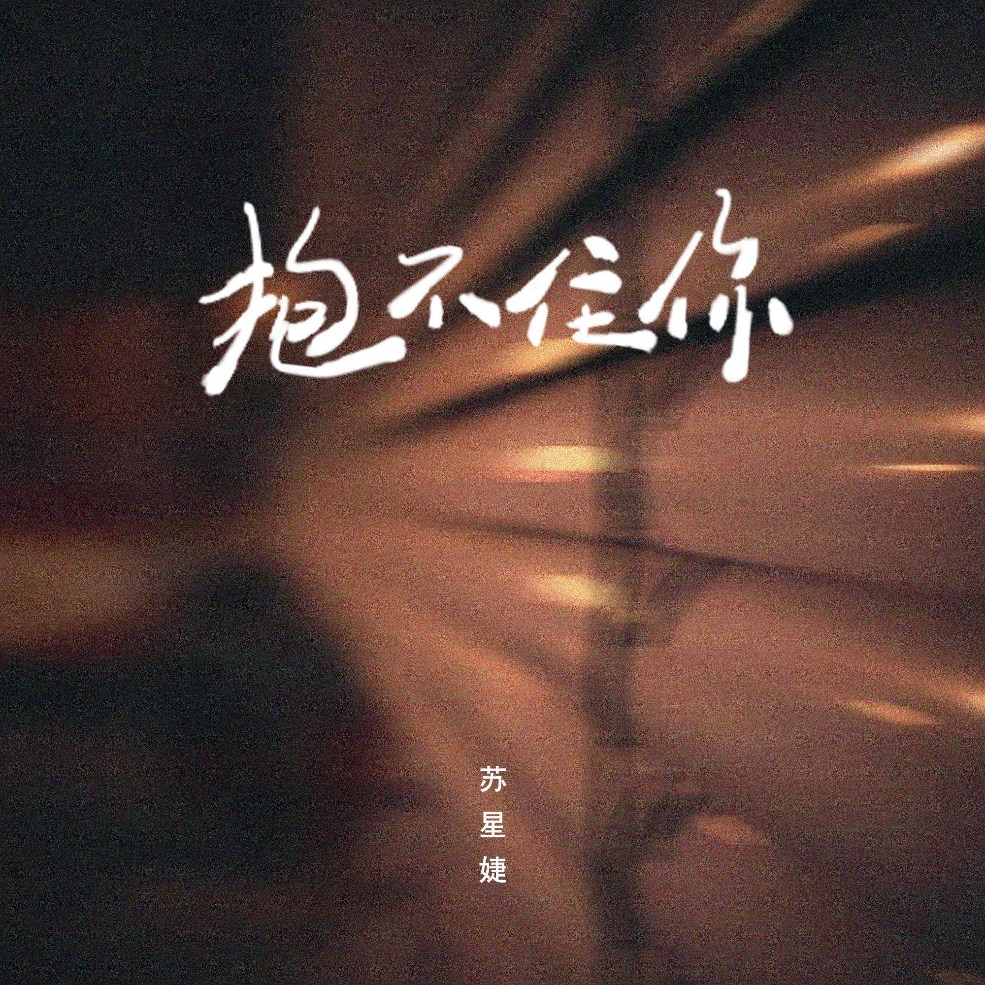 抱不住你 (DJAh版)